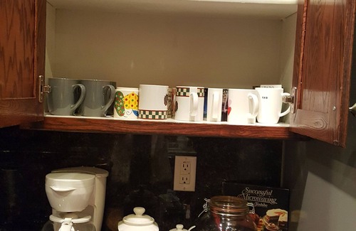 Pahrump House | Dandelion Court- Flower of the desert Near Death Valley & Praire Fire-Gun range