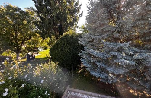 Donaustadt Apartment | Danube Gardens