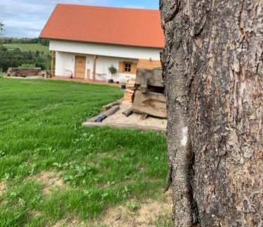 Inzenhof House | Das Weinstöckl