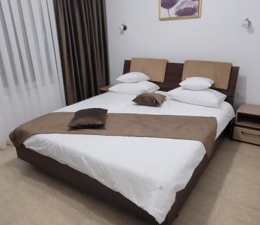 Baile Felix Apartment | David INN