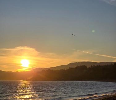 Otter Point House | Davidson Star