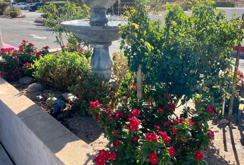 Victorville Hotel | Days Inn by Wyndham Victorville