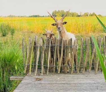Het Beijersche House | De Beijersche Stee , Landhuysje