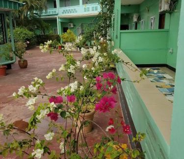 Paramaribo Cabin | De Kolibrie Appartementen