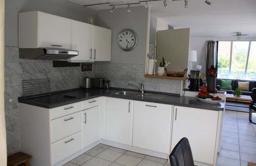 Scharendijke House | De Luxe house by the sea 110/700m2, fireplace, sauna, underfloor heating 2 bathrooms, dog, WLAN