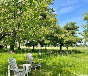 Municipality of Dordrecht Bed & Breakfast | De Zuileshoeve