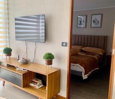 Cavancha Apartment | Deapartamento al Océano-Primer Linea ,Península Cavancha