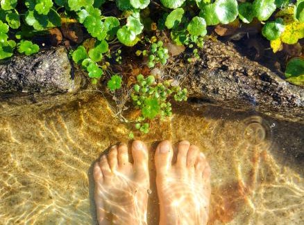 Alta Gracia Apartment | Del Sol a la Montaña EcoLodge - Turismo Consciente