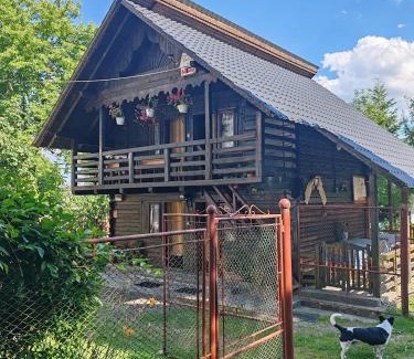 Ocna Sugatag House | Delia