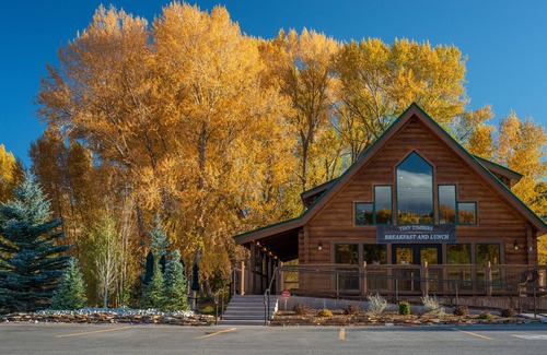 Red Bluff Estates Cabin | Delightful Tiny Home at Tiny Timbers Resort!