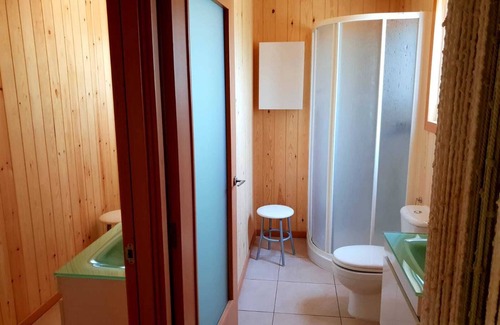 El Ligallo del Ganguil Ski Chalet | DELTA HOUSE 13 PEOPLE I POOL