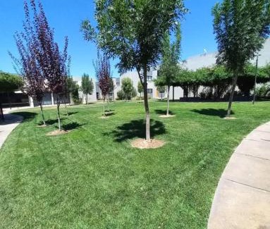 Vistalba Apartment | Departamento en Complejo Privado