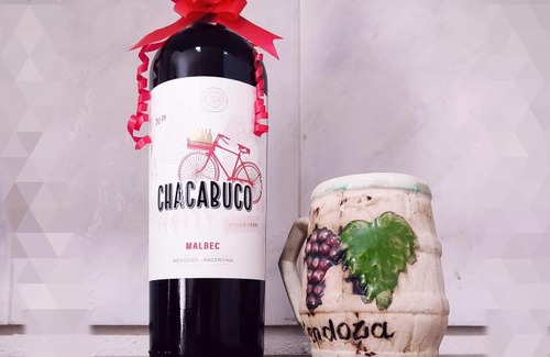 Chacras de Coria Apartment | Departamento Carrodilla Luján