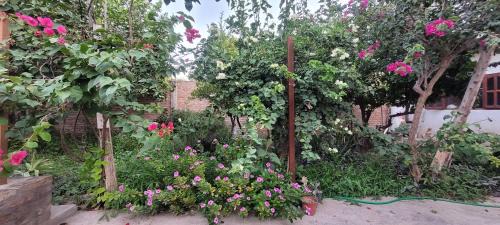 La Banda Apartment | Departamento