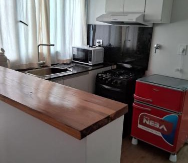 Santiago del Estero Apartment | DEPARTAMENTO JARDIN