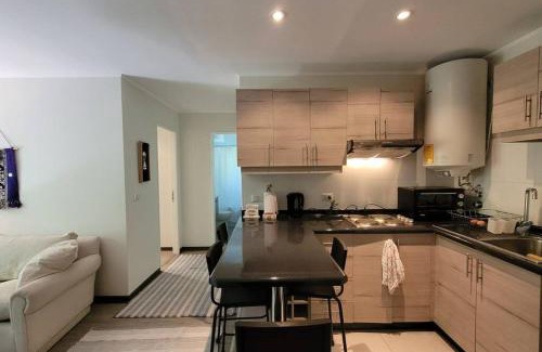 Pucon Apartment | Departamento en la magia del sur