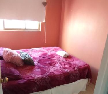 Downtown Santiago Apartment | Departamento en Santiago Metro Ñuble