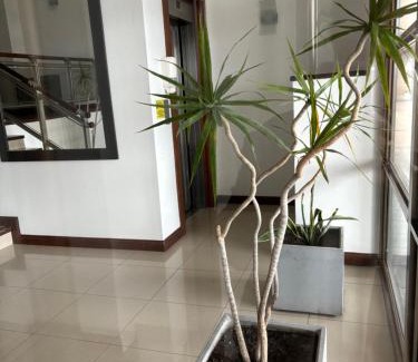 Necochea Apartment | Departamento Gran Mar