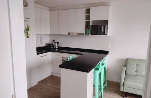 Valdivia Apartment | Departamento Isla Teja 519