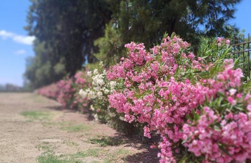 Maipu Apartment | Departamento Malbec House