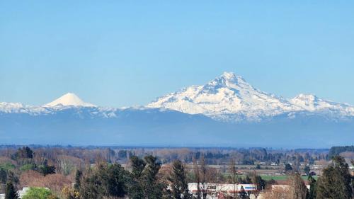 Los Angeles Apartment | Departamento moderno, nuevo, 1D1B, inmejorable ubicación, estacionamiento