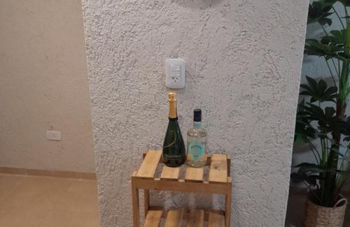 Tunuyan Apartment | Departamento Premium