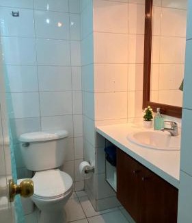 Bellas Artes Apartment | Departamento un dormitorio amoblado Santiago centro