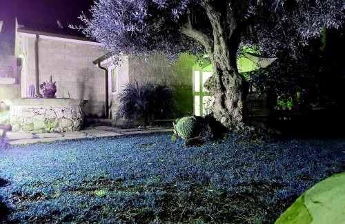 Carrozziere House | Dependance Oscar