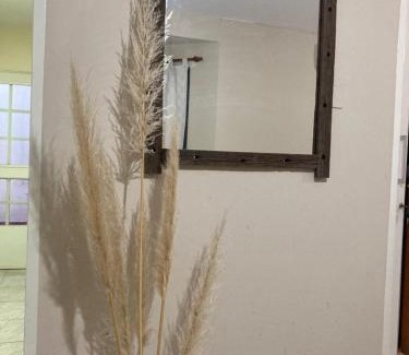 San Luis Apartment | Depto Centro