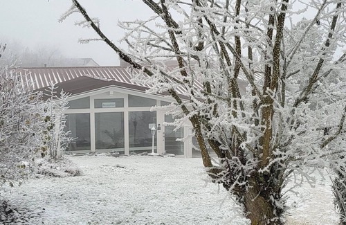 Niedenstein Apartment | der Löwe - D&B Staycation Resort