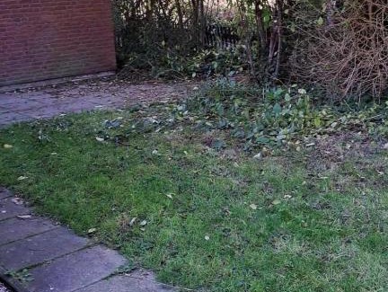 Herkingen Other | Derbyallround