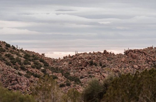 Yucca RV Rental | Desert Glamping Escape w/ Shared Bathroom: Saquaro at Ravari (5 of 6)