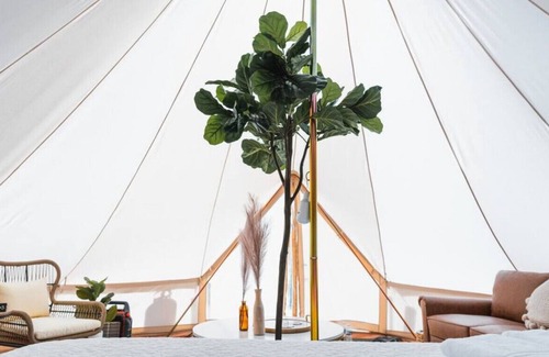 Yucca RV Rental | Desert Glamping Escape w/ Shared Bathroom: Saquaro at Ravari (5 of 6)