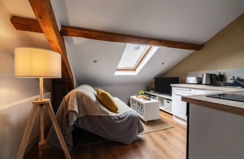 Vieux Vichy Apartment | Design apartment in the city center