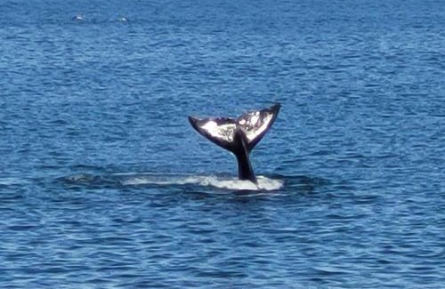 Puerto Madryn Apartment | Destino Mar