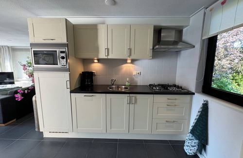 Brouwershaven House | Detached 4-person house with sauna, WLAN, fenced garden.