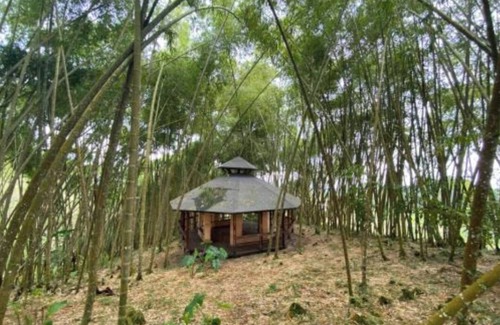 Filandia Apartment | Dharma Biotherapy Hotel