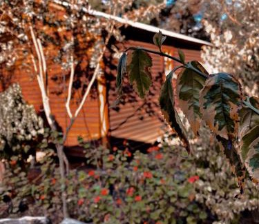 Rayton House | Die Boskombuis en Gastehuis