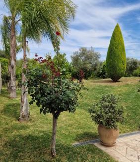 Aigialeia House | Dimitris Villa