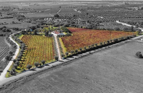 Redondo Cottage | DISCOUNT 15% FROM 29/6 TO 6/7 AND FROM 13 TO 20/7