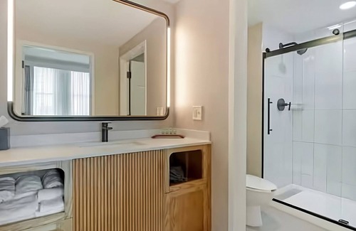 Downtown Tampa Hotel | Discover Tampa's Charm! Ultimate Downtown Experience