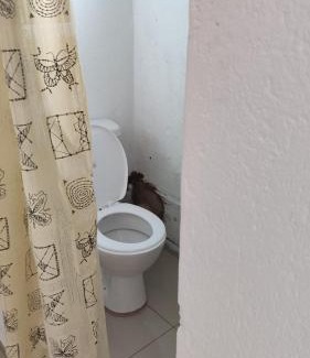 Greater Johannesburg Metropolitan Area House | Discovery Guest House