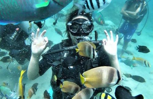 San Luis Resort | Dive and Trek Resort and Marine Sanctuary