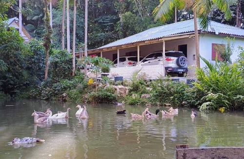 Palhoca Ski Chalet | Divine Chalet for up to 10 people