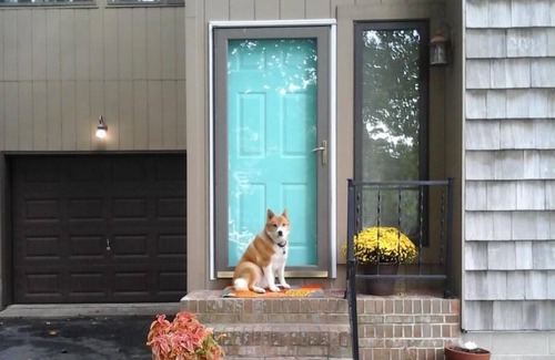 Rehoboth by the Sea House | Dog-Friendly Beach Retreat w/Decks & Loft – Walk to Dewey Fun & Beach!