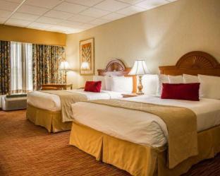 Clearwater Beach Hotel | Dolphin Sands Clearwater Beach, an Ascend Collection Hotel