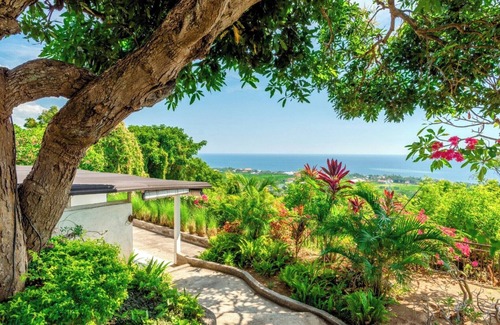 Temukus House | Dolphin Villa Lovina