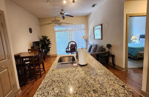 Texas Medical Center Apartment | Domain at Kirby