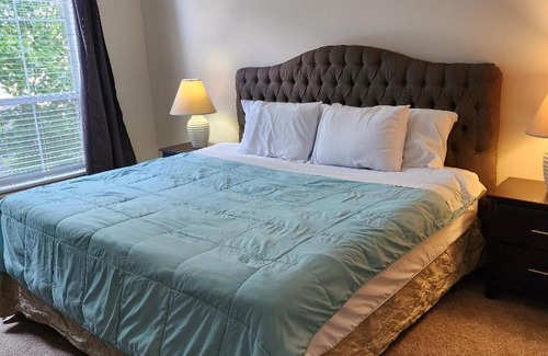 Texas Medical Center Apartment | Domain at Kirby