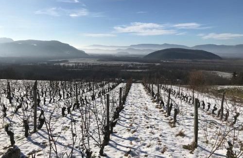 Chindrieux Apartment | Domaine de Chevigneux